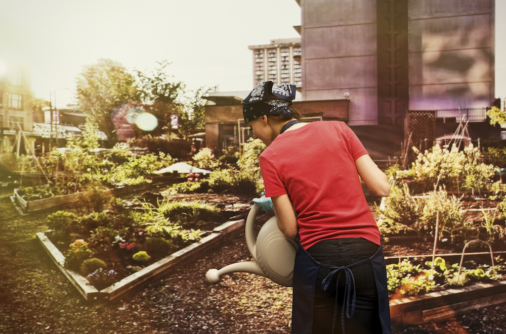 According to the USDA, urban farming is booming with around “15 percent of the world’s food now grown in urban areas.”